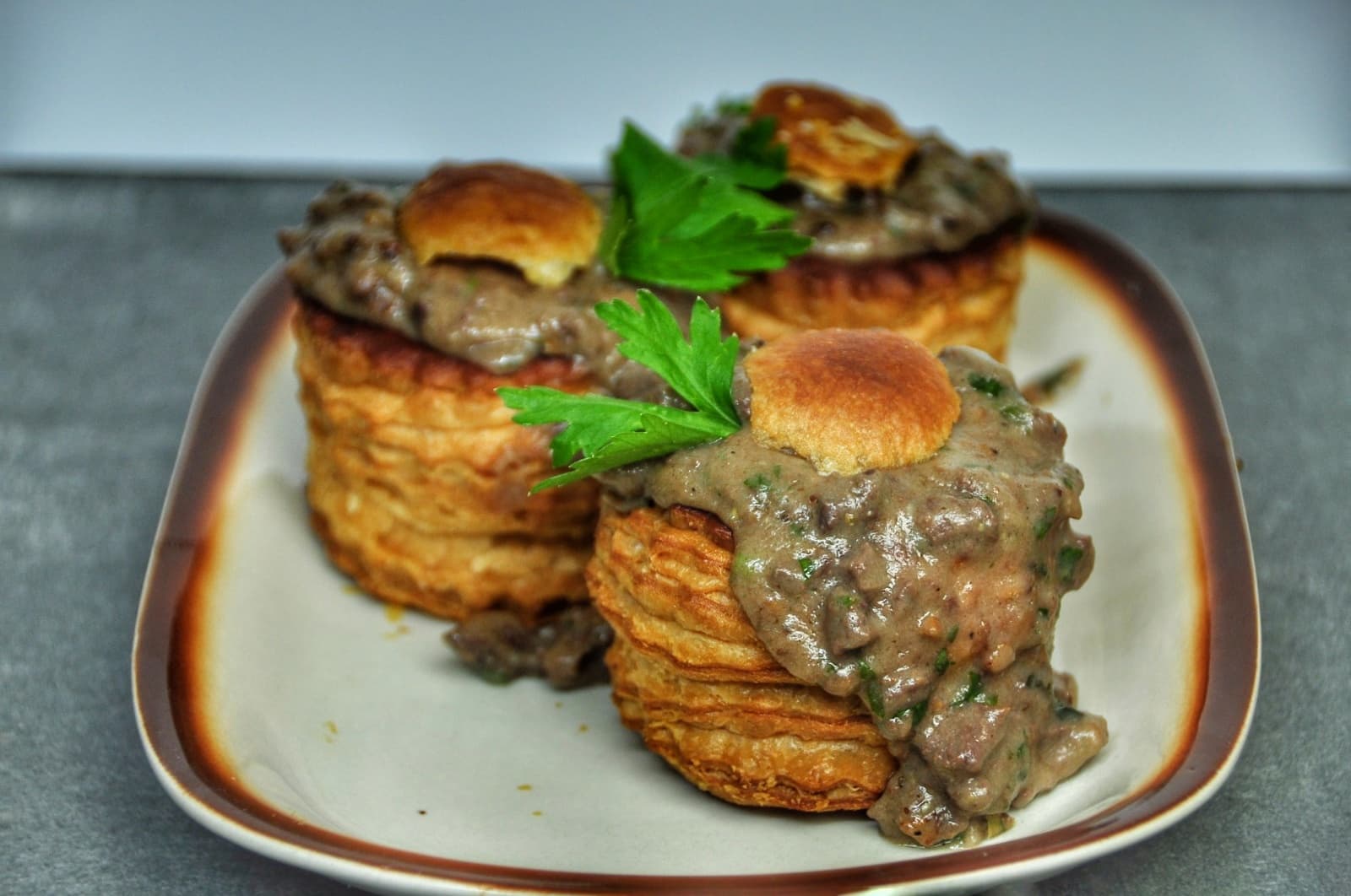 Ganzenragout